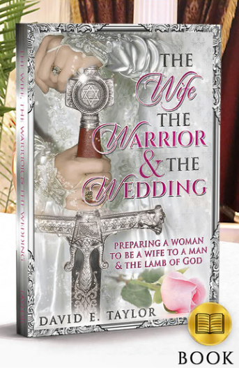 The Wife, The Warrior, and the Wedding Book- Now Available!