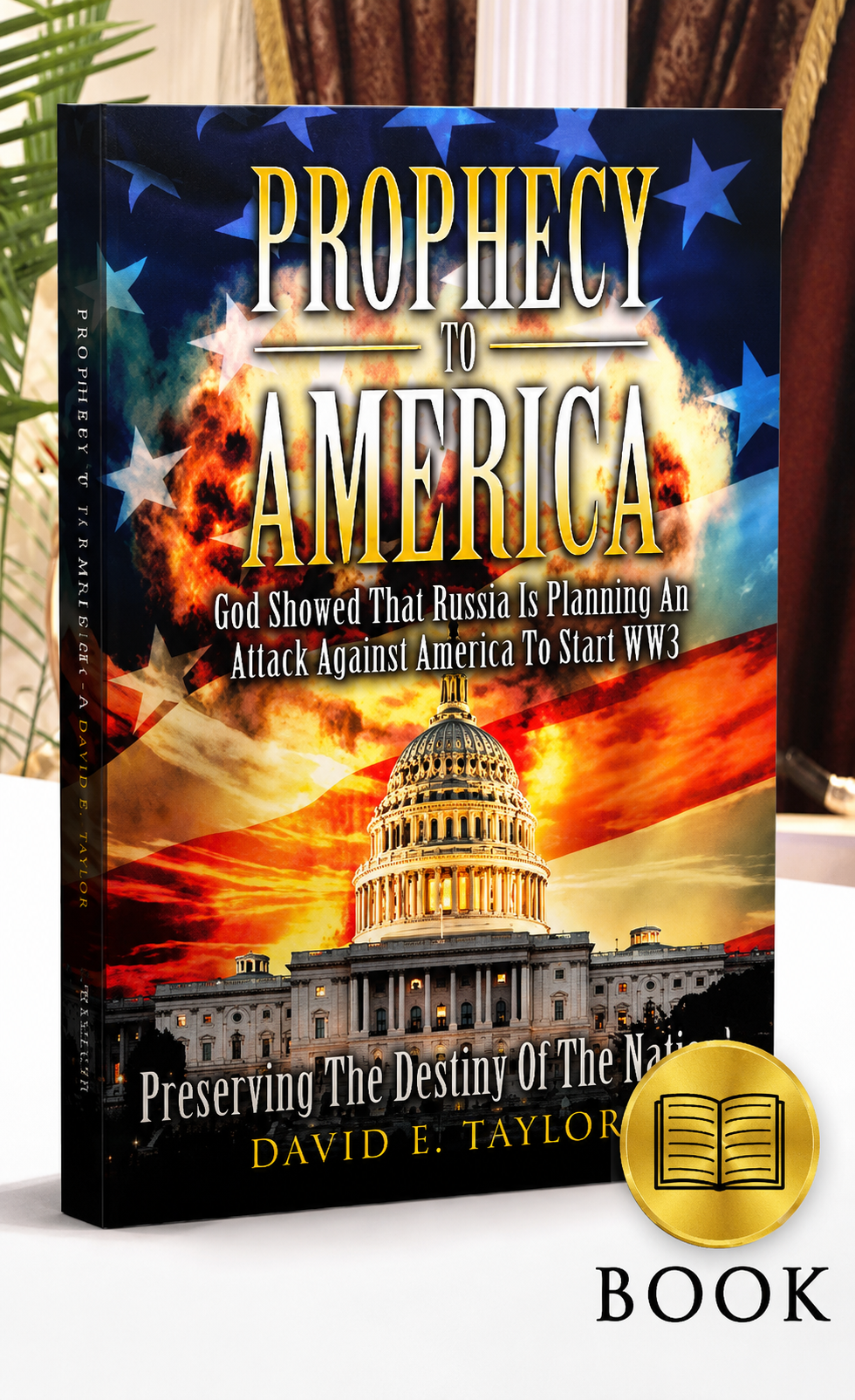 Prophecy to America: Preserving the Destiny of the Nation Book